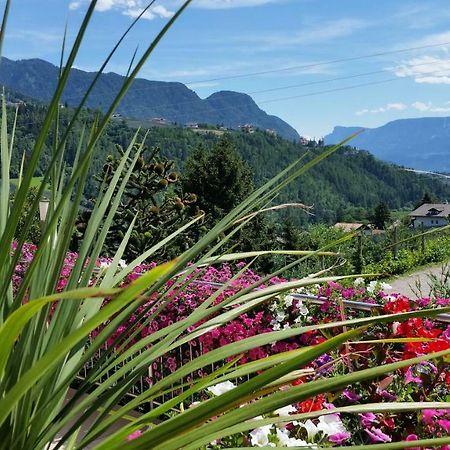 Pension Weinberg Rifiano Exteriör bild